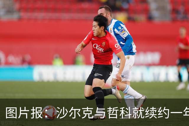 图片报：沙尔克与哲科就续约一年达成一致，年薪最高可达130万欧